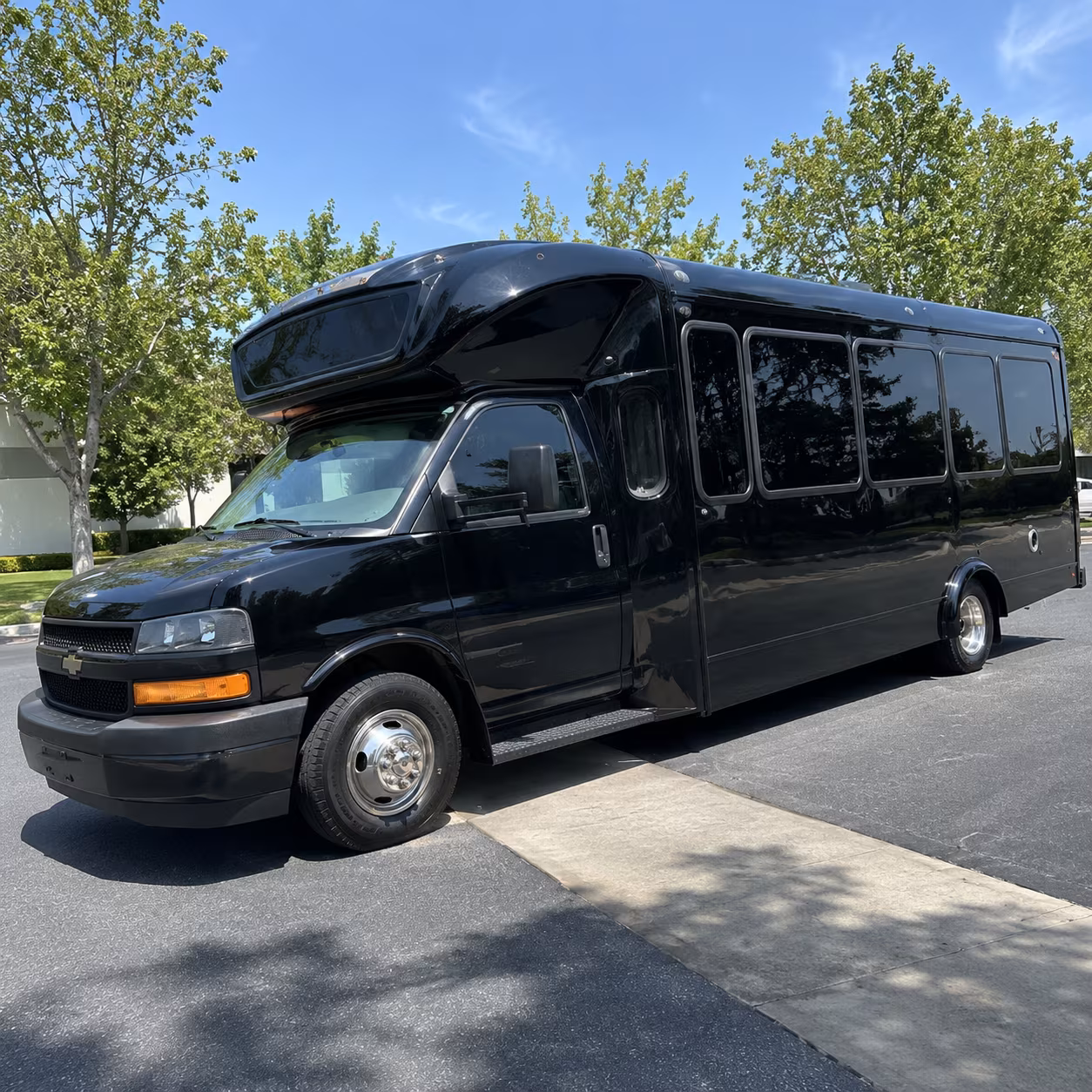 mesquite 15 passenger party bus