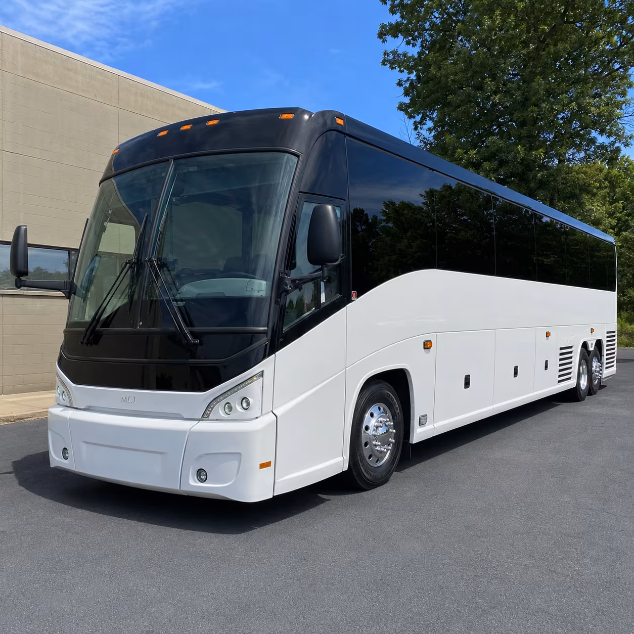 rodeo night buses to the mesquite championship rodeo